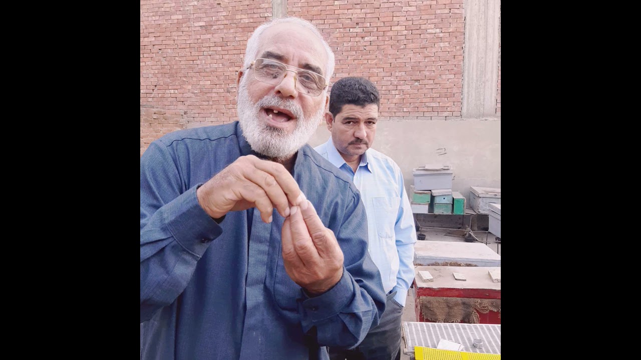 صندوق متعدد الاغراض الجزء الأول الحاج سعيد على