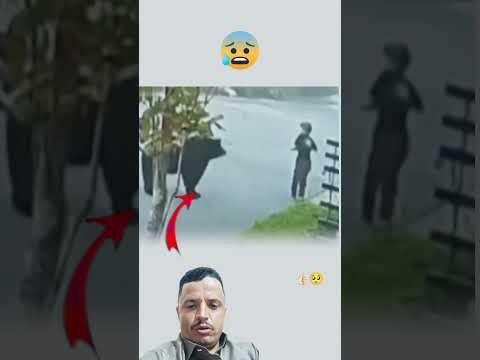 أعط نفسك ﺎلشجاعة لتستند ع لى نفسك دون الح اجة لشخص م ا حيوانات   