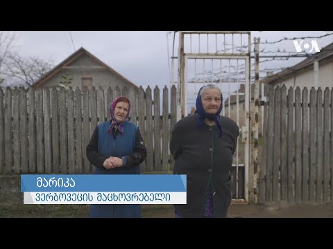 უკრაინის უნგრული უმცირესობა და ომი