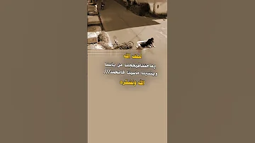 لطف من الله يفاجئنا ليك حالات واتساب عبارات 