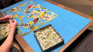 Bird puzzle vid #7 🌳🐦 screenshot 2