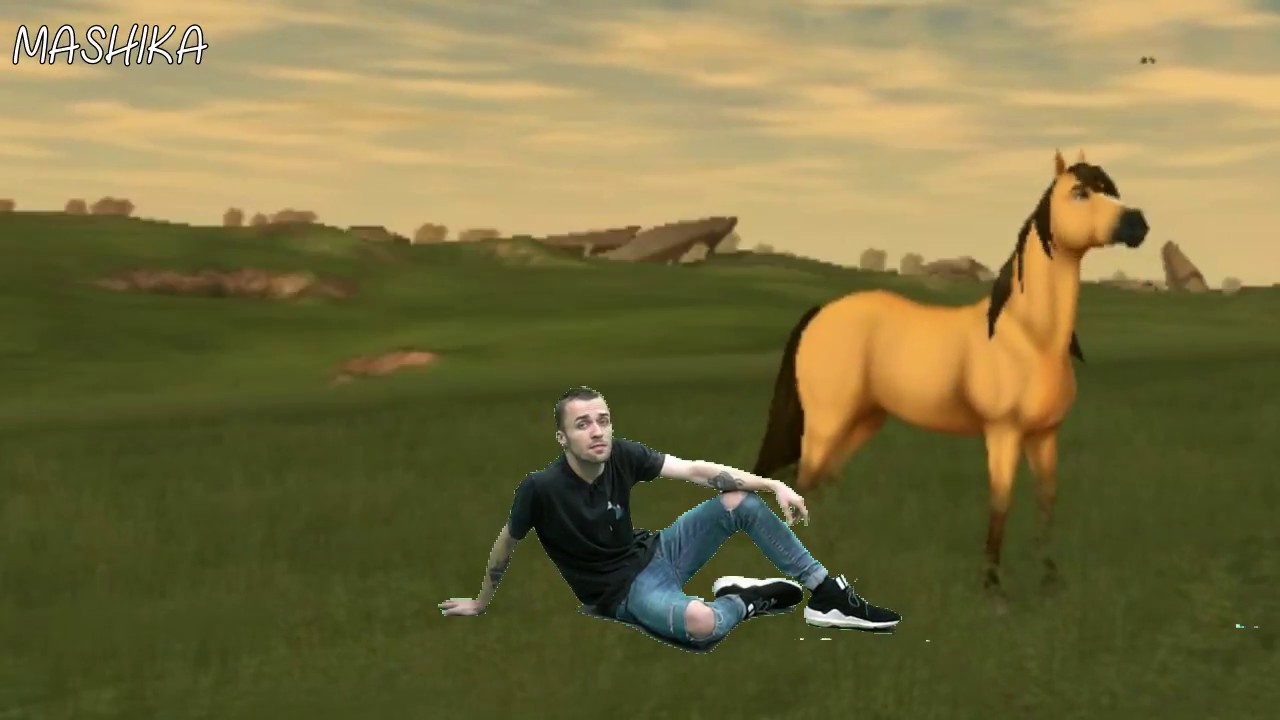 Squeezie Fond Vert Star Stable