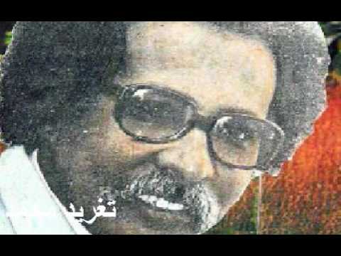مصطفى سيد احمد كان نفسى قولك من زمان تغريد محمد