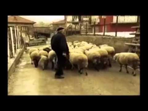 youtu.be