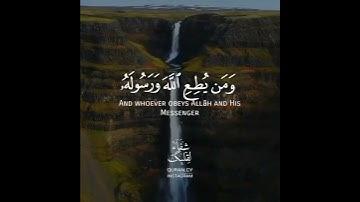 أجمل حالات واتس اب قرآن كريم بصوت وديع اليمني | صوت يريح القلب❤️😴