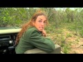 Mar 22 WildEarth Sunrise SafariLIVE Part two: Dung Beetle, Elephants