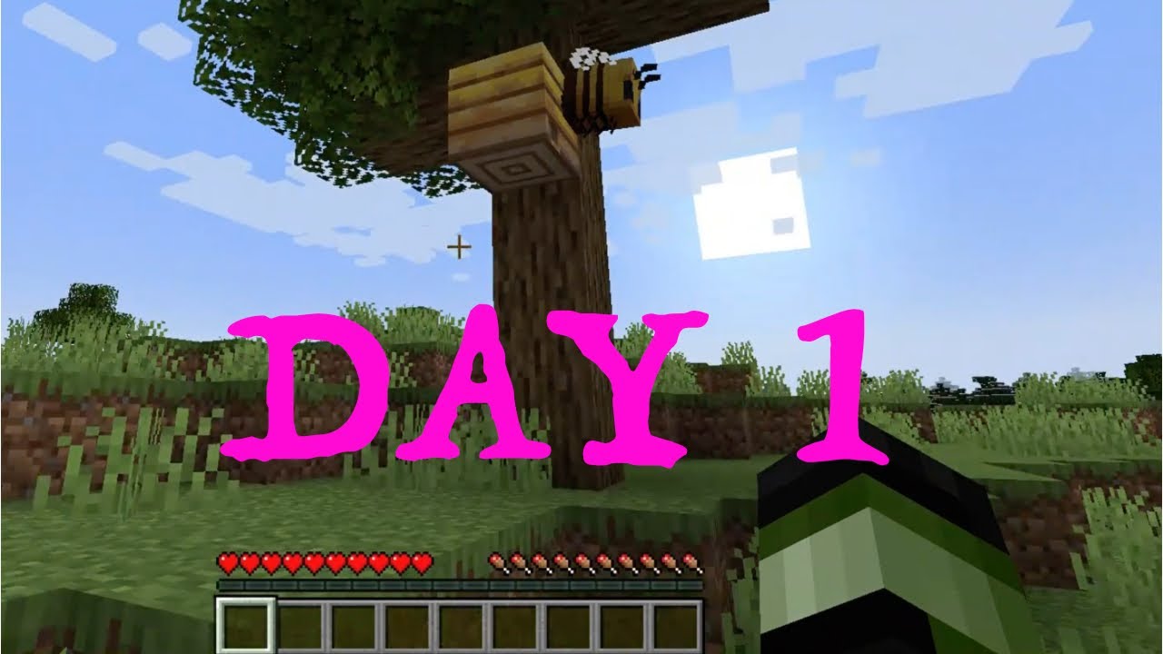 Minecraft world - Day 1 - YouTube