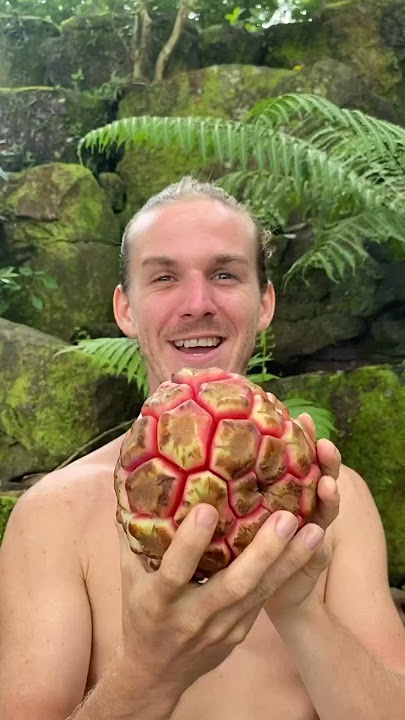 Top 5 Weirdest Fruits