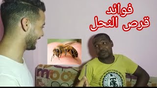 شاهد فائدة قرص النحل للإنسان