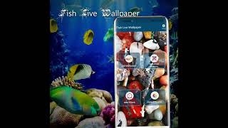 Koi Pet Fish Live Wallpaper screenshot 4