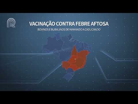 Campanha de vacinação contra a febre aftosa começa hoje em Mato Grosso e 20 outros estados do país |