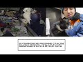 Рабочие спасли выброшенного в мусор кота