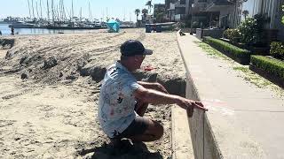 Erosion of West Side of the Patch of Beach During August High Tide - Bayshore High Tide Mark - 45/x