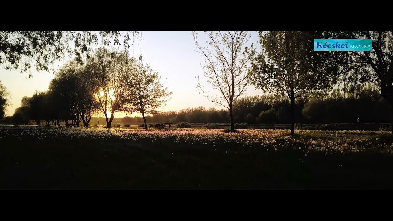 Tiszakécskei Holt-Tisza: Az ezerarcú holtág