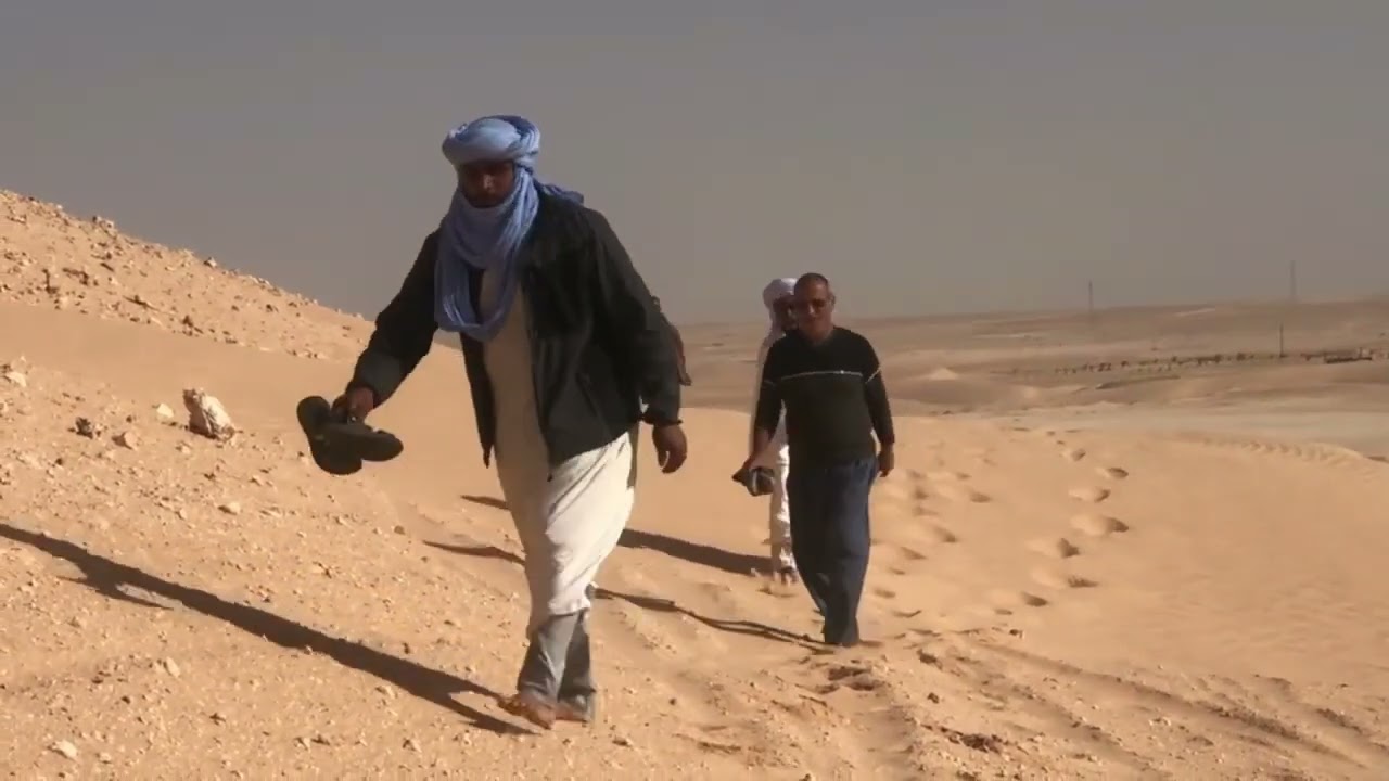 جولة للضيوف من ولآية ادرار الى قارة كريمة الرويسات ورقلة