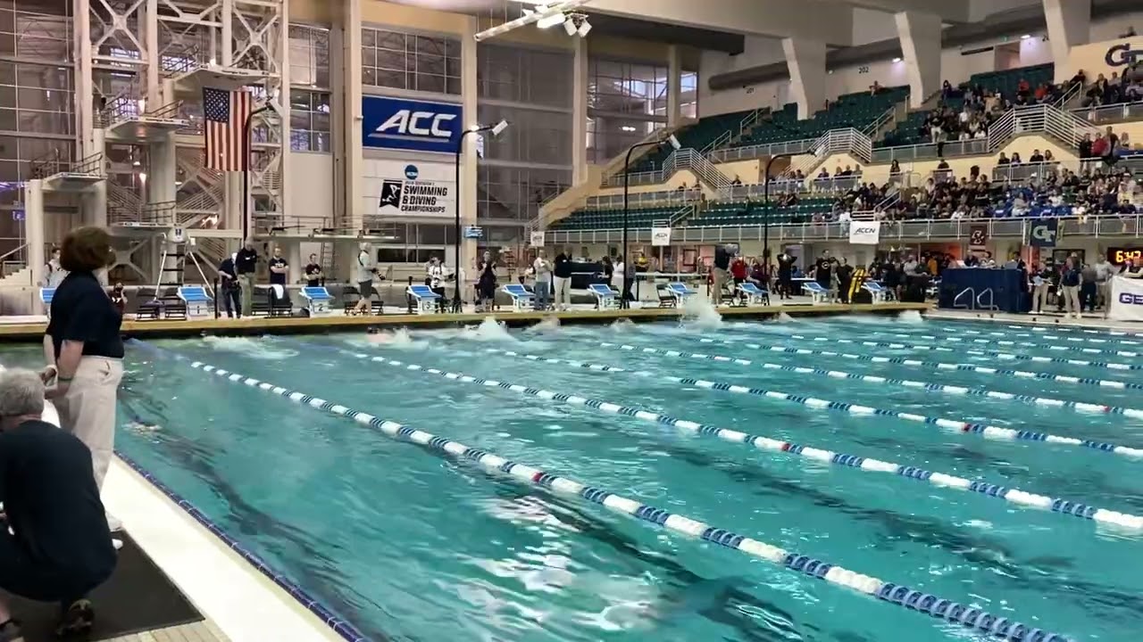 Nicolas Albiero Goes 