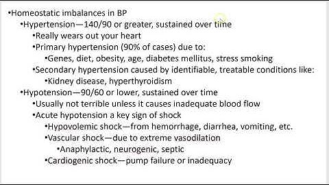 2402 Lecture Chapter 19 Blood Vessels 5 PowerPoint Screencast