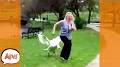 Video for America's Funniest Home Videos youtube clean