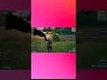 dont dent my rideft(NitrisSpynr,photes)#fortniteclipsdaily #fortnite#fortniteoffline