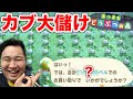 【どうぶつの森】超大量のカブ高額な島で全部売ったら〇〇〇〇〇〇〇ベルで爆儲け！？【カブ主総会】