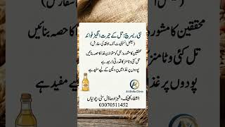 DOCTOR BHI HAIRAAN 😳 | TIL KE FAYDE JO 90% LOG NAHI JANTE! | BEST DIET TIPS ✅