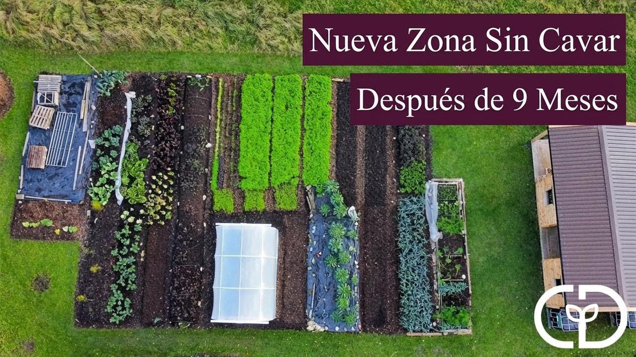 Así quedó mi huerto sin cavar después de 9 meses