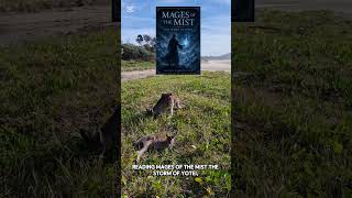 Mages of the Mist: The Storm of Yotei out now on Amazon