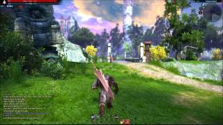 Tera CPE Aman male Slayer