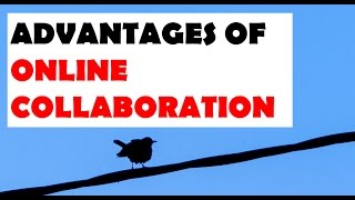 Advantages of Online Collaboration