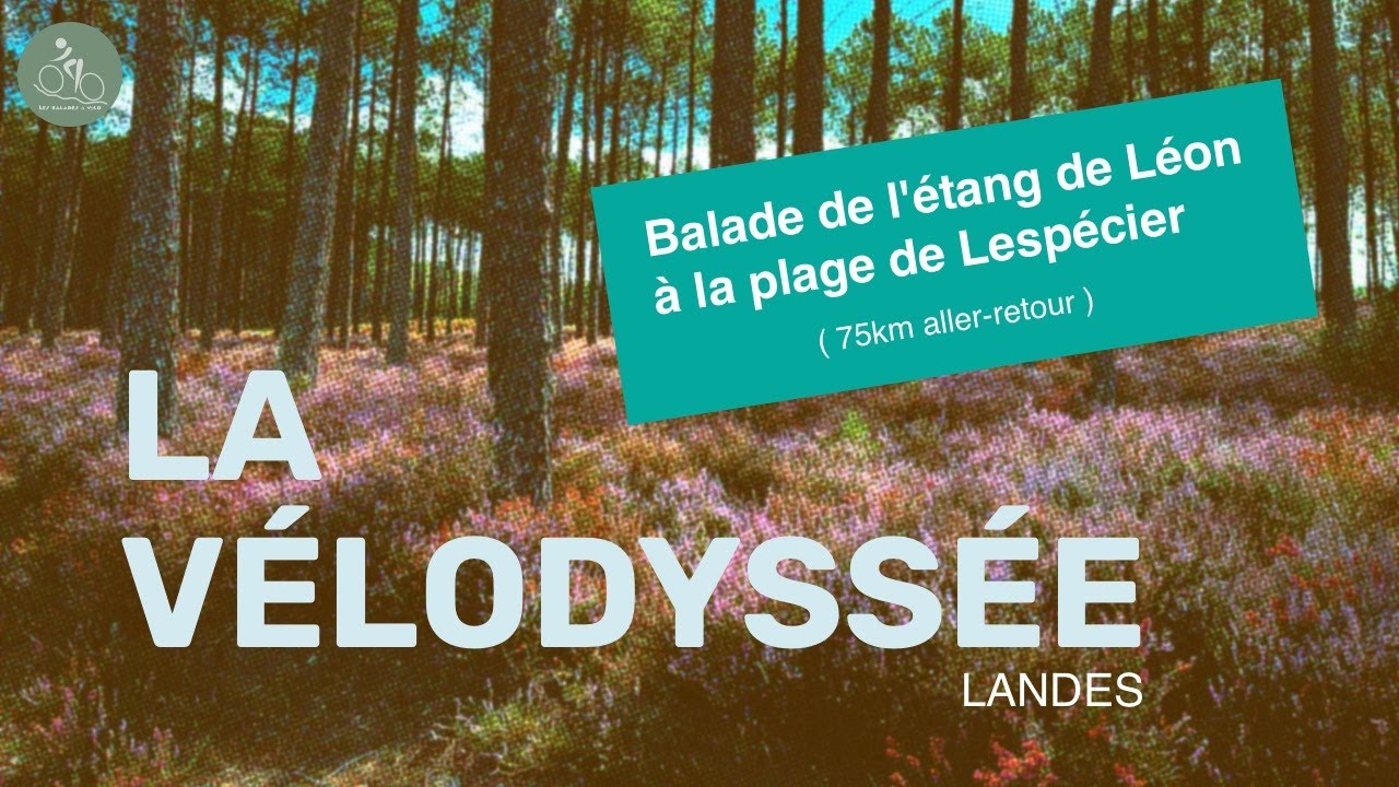 Balade sur la Vélodyssée Eurovélo 1