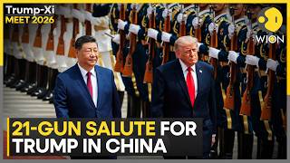 Famous Trump's Grand Welcome In China: Xi Jinping Raises A Toast Post State Banquet | WION Profile