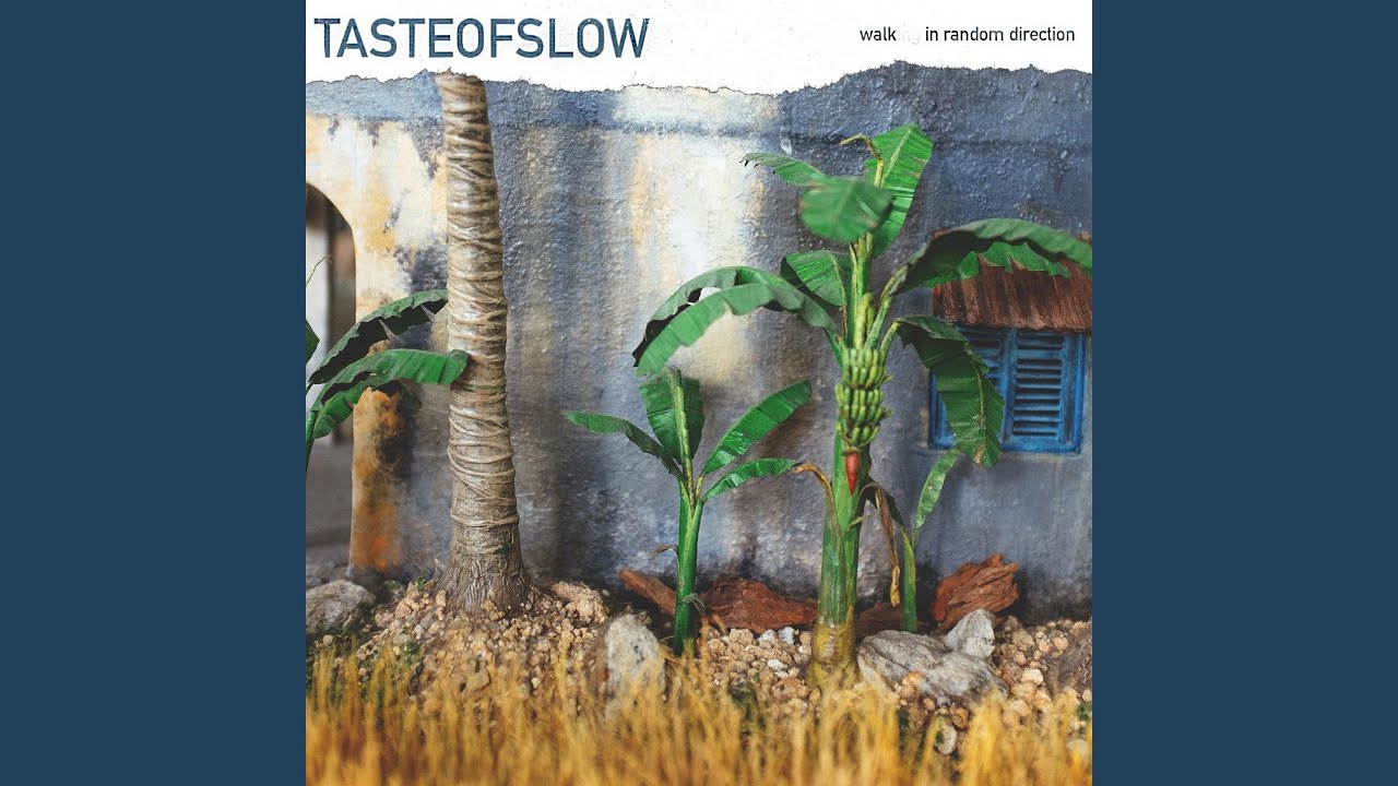 Small Place to Stay in Shadow