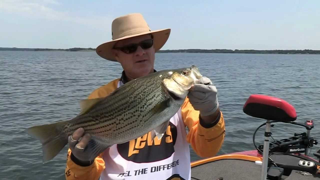 Lake Palestine TX Hybrid Striper Fishing SNEAK PEEK PREVIEW - YouTube