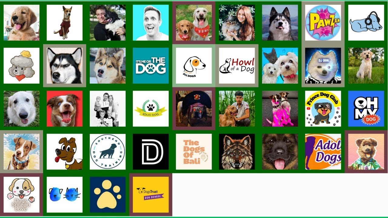 A List Of YouTube Dog Channels In Subscriber Count Order YouTube