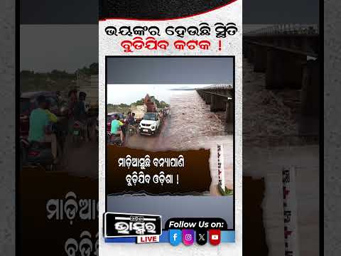 ଭୟଙ୍କର ହେଉଛି ସ୍ଥିତି ବୁଡିଯିବ କଟକ ! #ytshorts #shortsvideo #Mahanadi #HirakudDam #FloodAlert