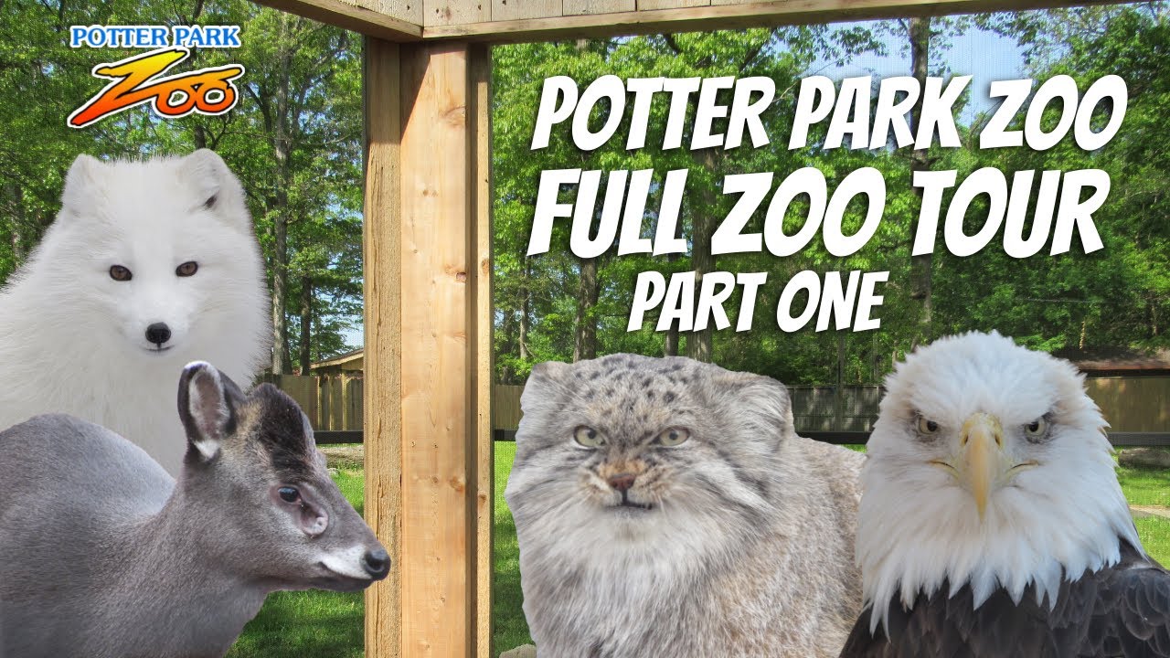 Potter Park Zoo Full Tour Part One | Exhibit Tours Ep. 46 - YouTube
