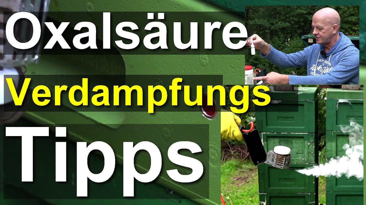 Tipps zum Oxalsäure verdampfen: wie macht man es richtig? Teil 1 Preis-Katastrophe Verdampferzarge