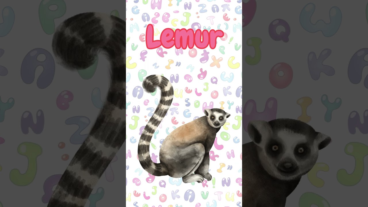 L is for: animals beginning with the letter L.