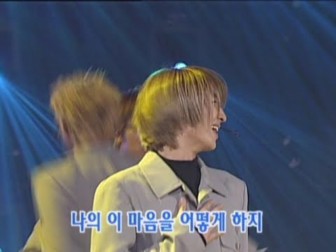 god(지오디) 관찰
