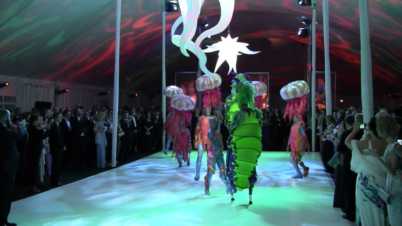 Circuit Mom at Shedd Aquarium Gala #5