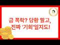 금값 왜 떨어질까? 지금 사도 될까? 직접 겪어보고 정리한 현실적인 해석