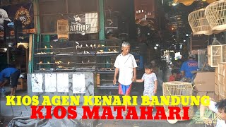 Download Lagu KENARI BANDUNG WARNA MEWAH BANYAK PILIHAN DIKIOS INI MP3