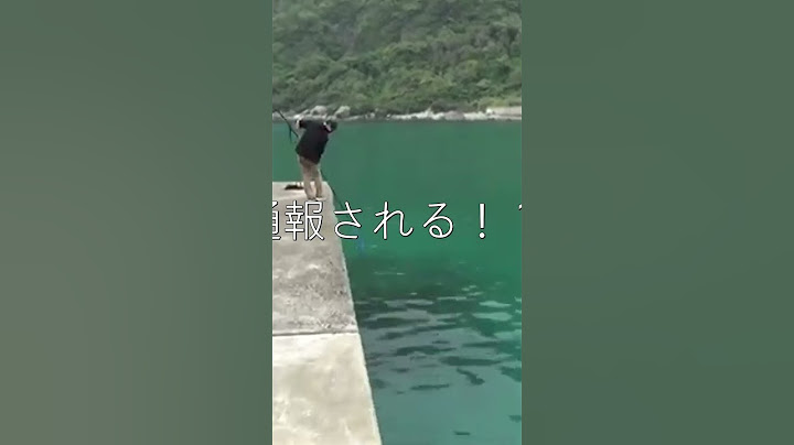 釣りスギ四平tsurisugiyonpei   通報される！？漁港でまさかの記録級巨大魚！衝撃の釣れ方に騒然