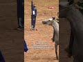 Тыйын эңмей мелдешинде кыргыз спортчусу күмүш медаль утту