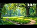 Music therapy 🌿 Relaxing Music for Anxiety Relief &amp; Stop Overthinking