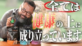 【ドッグフードの勧め】サプリメントの正解がわからない人必見！用途別に解説します！