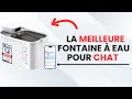 TOP 4 Meilleure Fontaine à Eau Pour Chat 2025