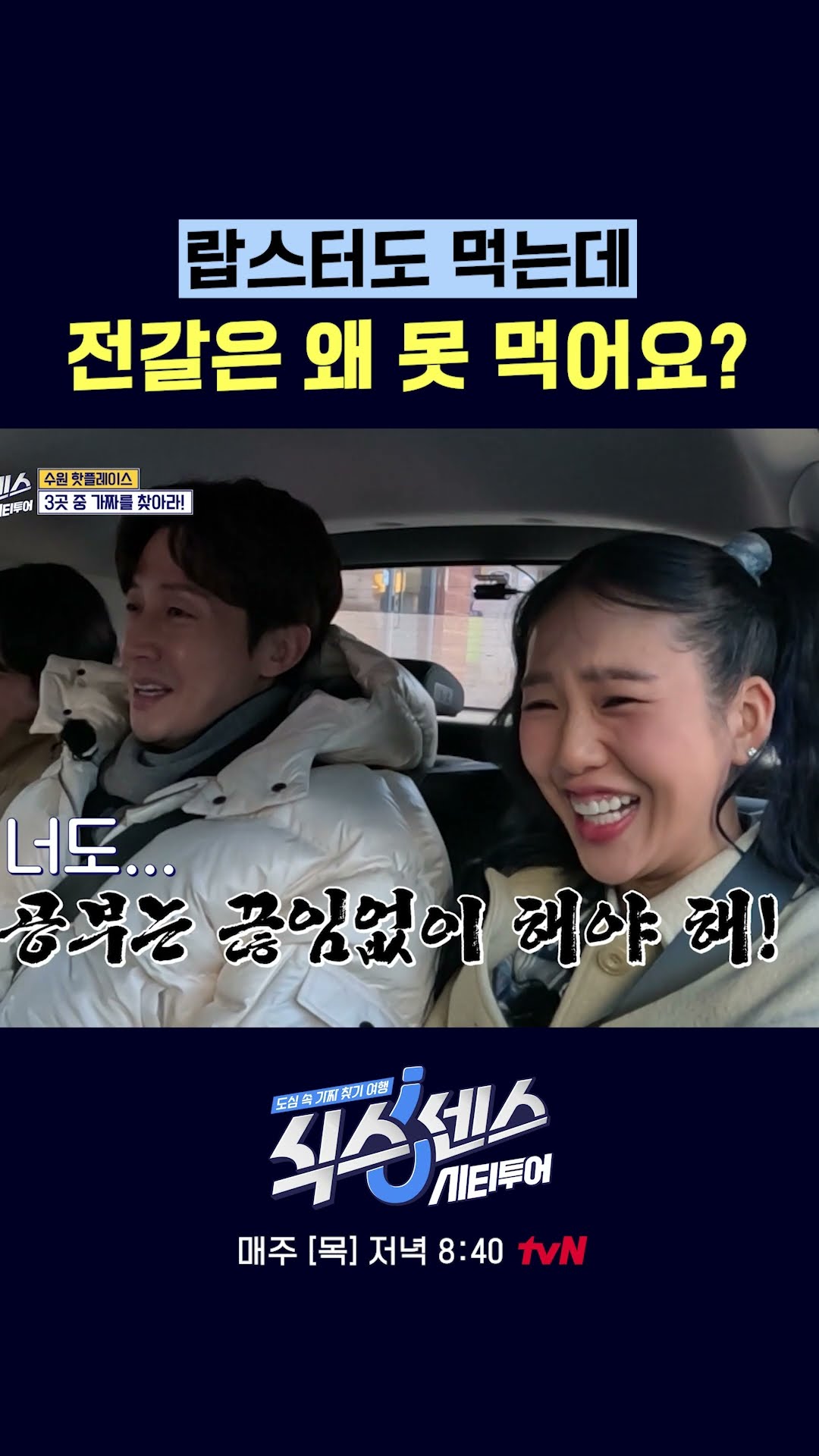 랍스터랑 전갈이 같은 계열이라고?? #식스센스시티투어