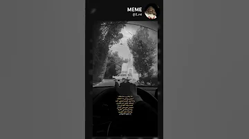 كلب كلبي عمر عمري ساريه السواس اغاني حب بطيء كلت بلكي يحس بيه اغاني تيك توك ترند لايك 