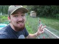 End of video